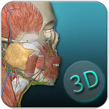人体解剖学图集最新版v3.15.1-三维模型,解剖必备 人体解剖学图集最新版v3.15.1-三维模型,解剖必备