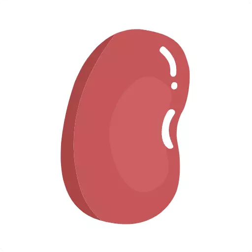 红豆笔记最新版v1.0.11-数据统计能让你更好的管理生活 红豆笔记最新版v1.0.11-数据统计能让你更好的管理生活