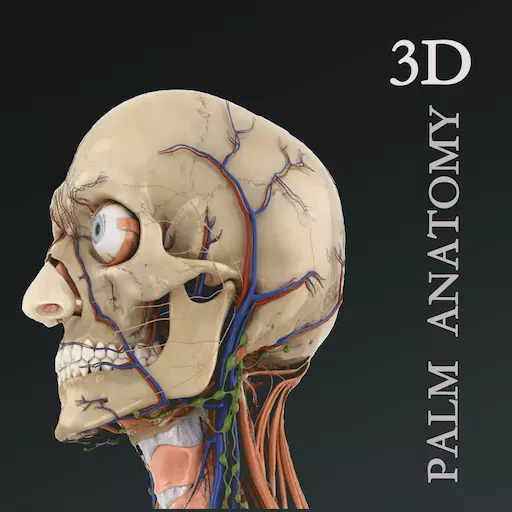 掌上3D解剖 v2.4.6最新版 掌上3D解剖 v2.4.6最新版