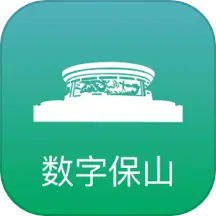数字保山
