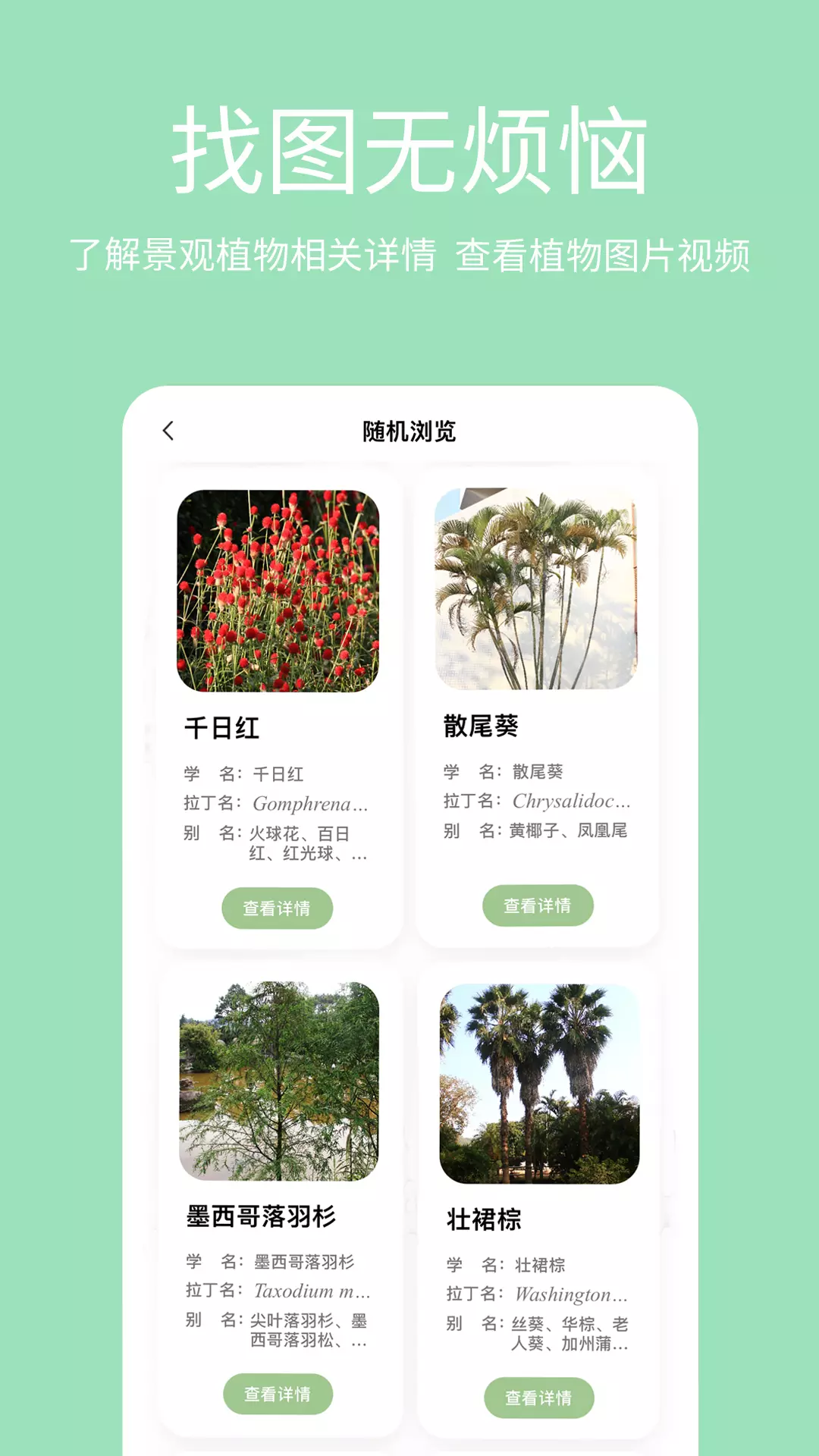 绿图 v1.0.4免费版截图2