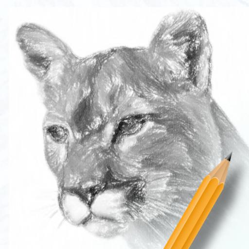 素描绘画入门教程 v2.1.3免费版 素描绘画入门教程 v2.1.3免费版