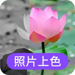 数创照片上色-黑白照片上色 v23.11.27-老照片重现色彩,感动犹在 数创照片上色-黑白照片上色 v23.11.27-老照片重现色彩,感动犹在