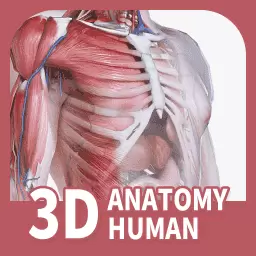 口袋人体解剖-解剖平台 v3.1.7最新版 口袋人体解剖-解剖平台 v3.1.7最新版
