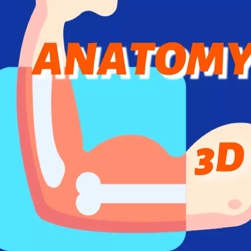 鸿物人体骨骼-3Dbody人体模型 v2.0.0最新版 鸿物人体骨骼-3Dbody人体模型 v2.0.0最新版