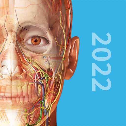 3D人体解剖 v2.0最新版 3D人体解剖 v2.0最新版