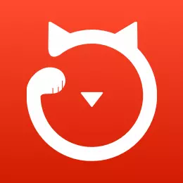 鼎税猫 v1.0.3最新版 鼎税猫 v1.0.3最新版