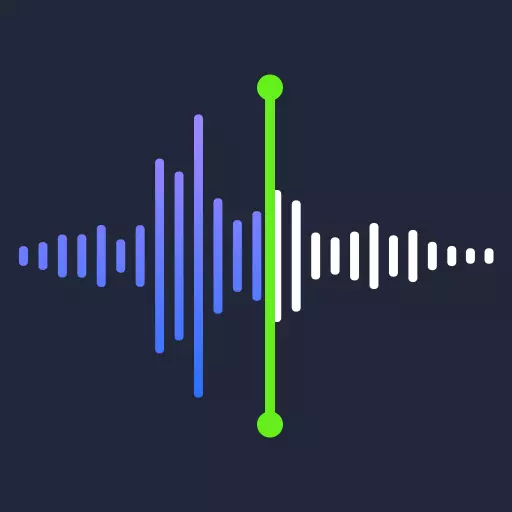 录音机专家-录音转文字 v1.2.4-通话录音,实时录音转文字 录音机专家-录音转文字 v1.2.4-通话录音,实时录音转文字