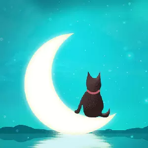 绿光 v1.2.0-陌生人聊天约会的交友 绿光 v1.2.0-陌生人聊天约会的交友