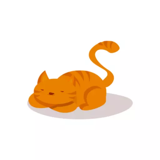 猫猫出行 v1.0.0最新版 猫猫出行 v1.0.0最新版