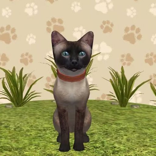 哈哈宠物养成安卓版 v1.0.2 哈哈宠物养成安卓版 v1.0.2