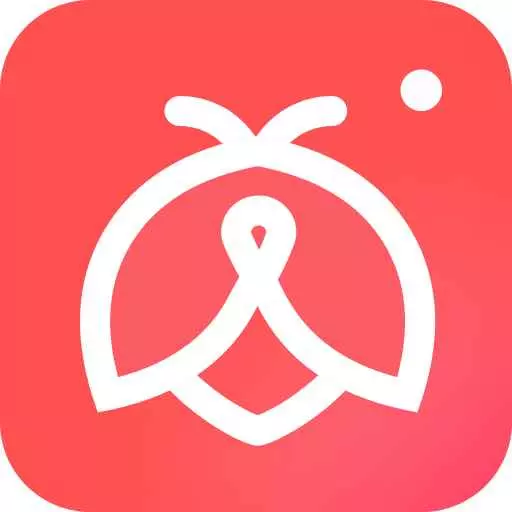 萤火相机 v1.2.0-一款功能丰富的拍照软件