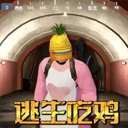 菠萝头吃鸡 v1.0.0-地铁逃生射击吃鸡模拟 菠萝头吃鸡 v1.0.0-地铁逃生射击吃鸡模拟