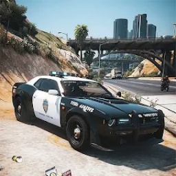 真实警车模拟器-警车追逐挑战 v1.0-驾驶警车守卫城市安危 真实警车模拟器-警车追逐挑战 v1.0-驾驶警车守卫城市安危