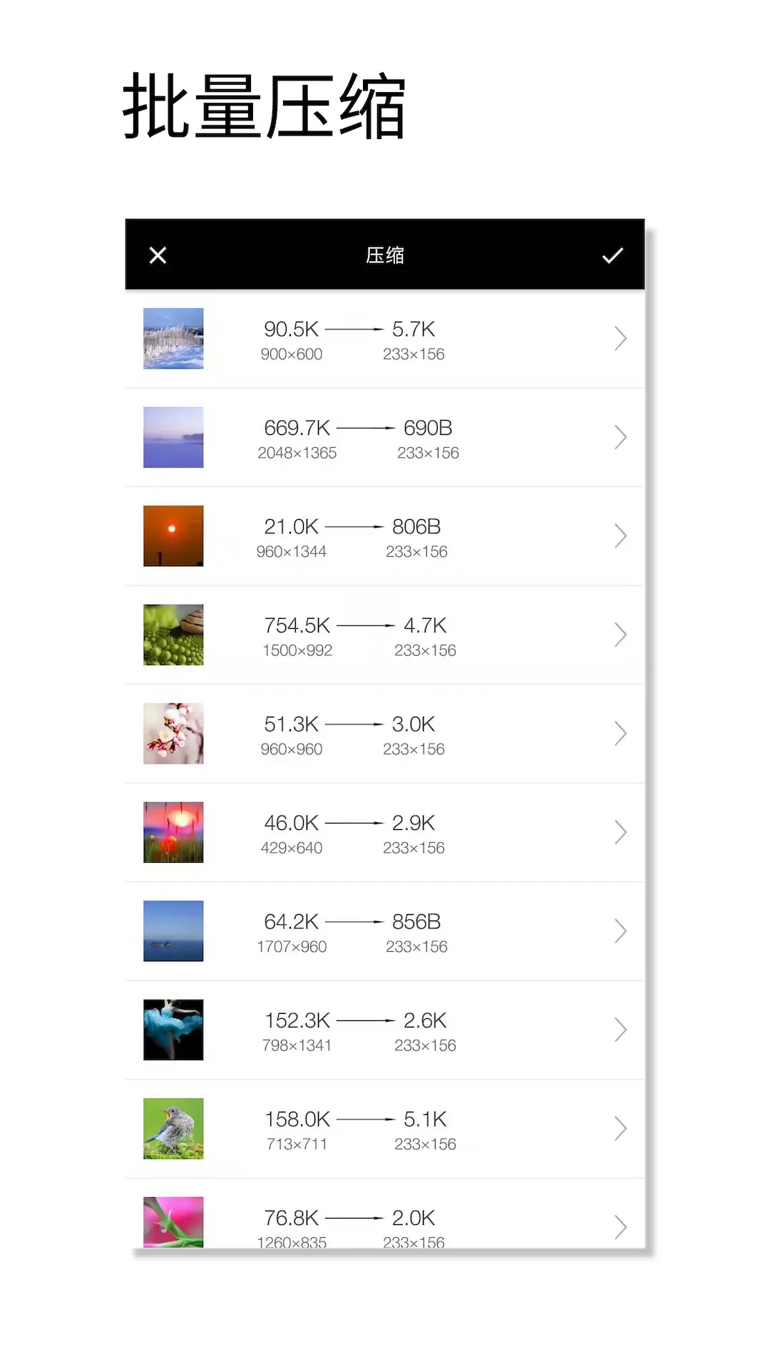 图片压缩魔v1.004-批量压、转格式、自定尺寸清晰度截图1