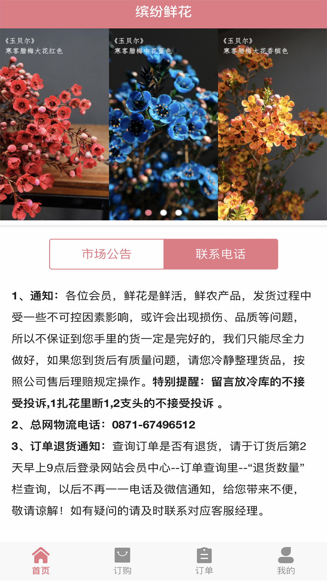 缤纷鲜花 v1.4.16免费版截图2