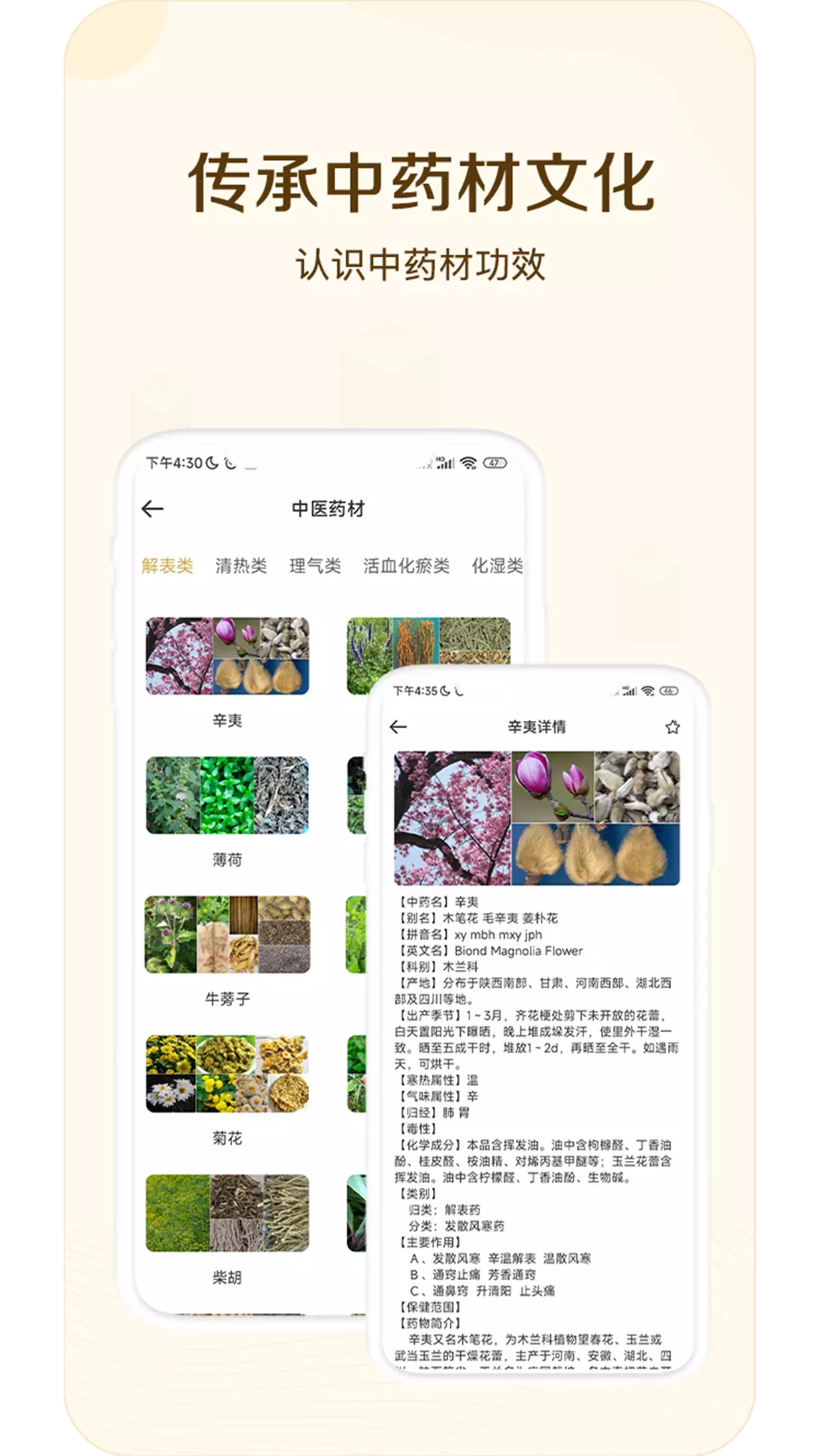 经络穴位指南 v1.0免费版截图2