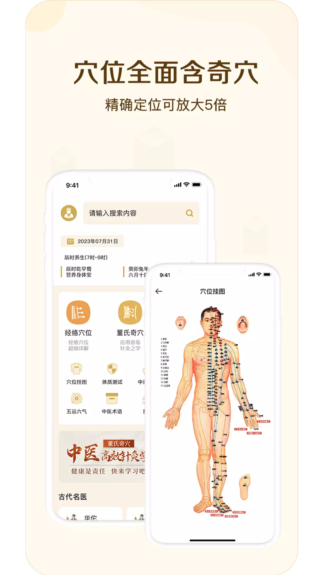 经络穴位指南 v1.0免费版截图1