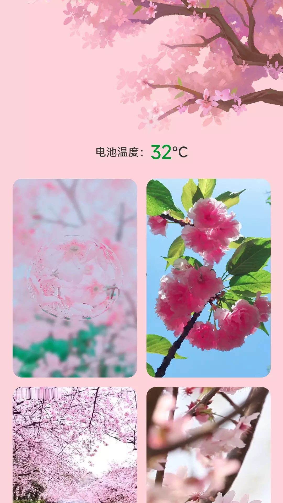 樱花充电 v2.0.1免费版截图1