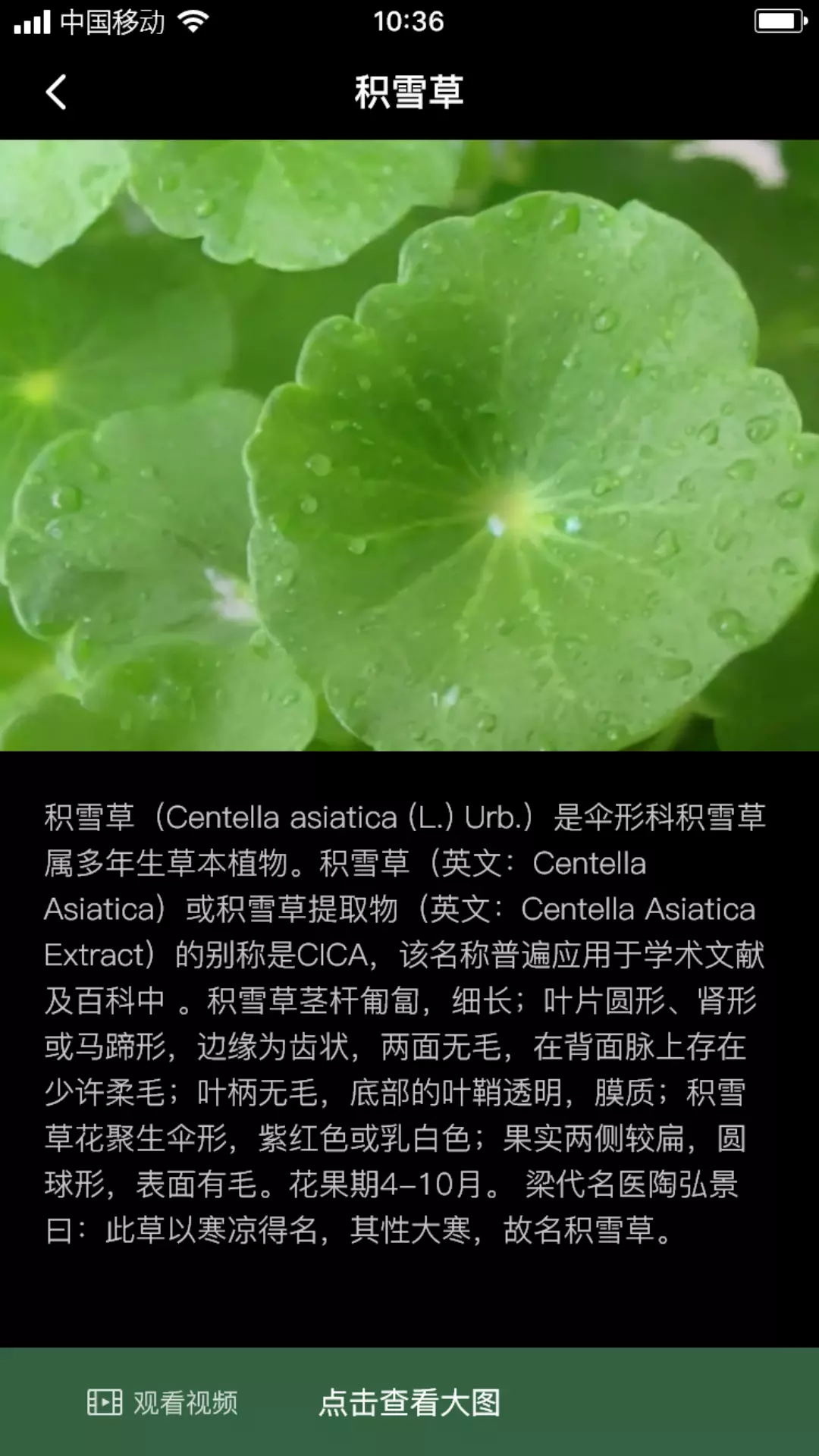 积学草v1.0.1-草类植物爱好者截图2