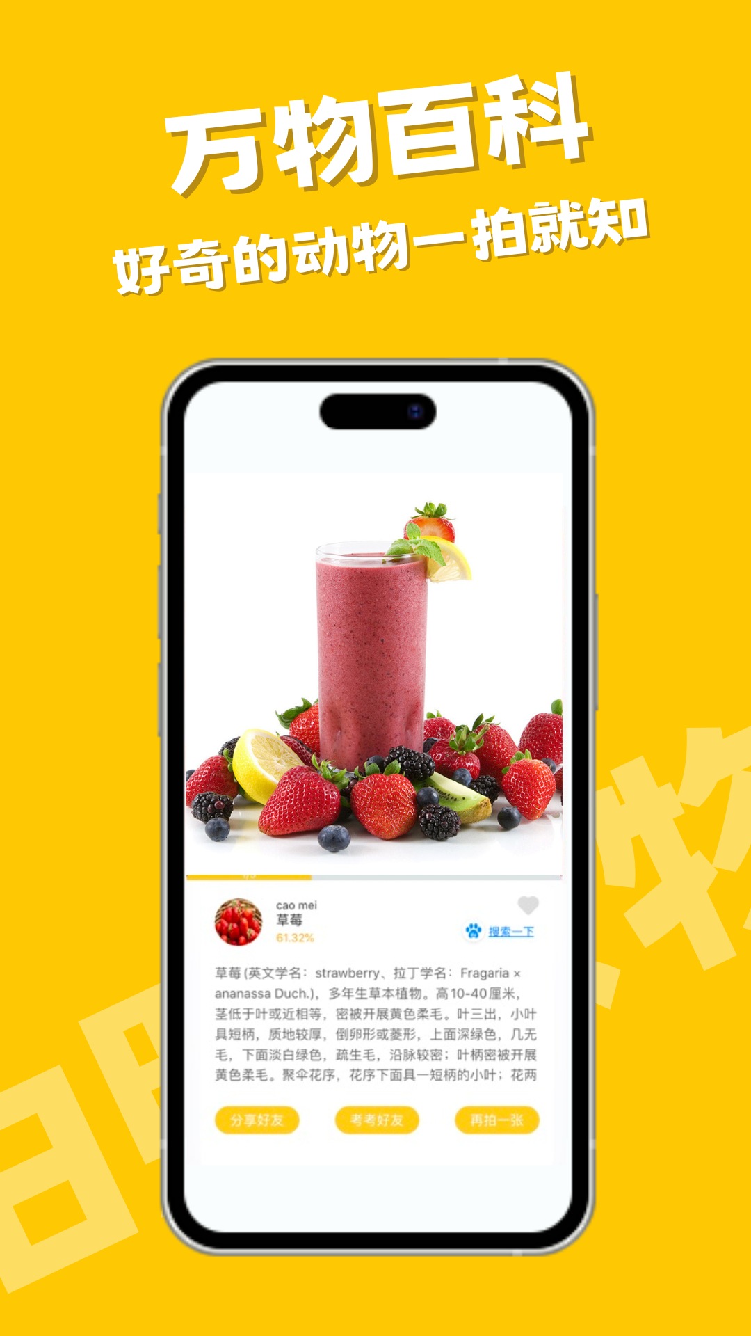 随手拍照识物 点击查看大图