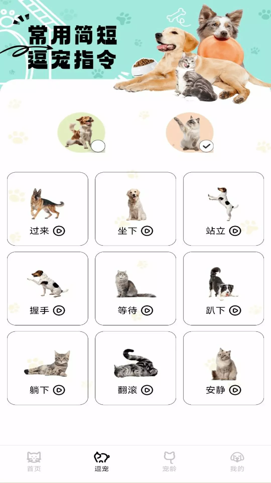 猫狗翻译君app