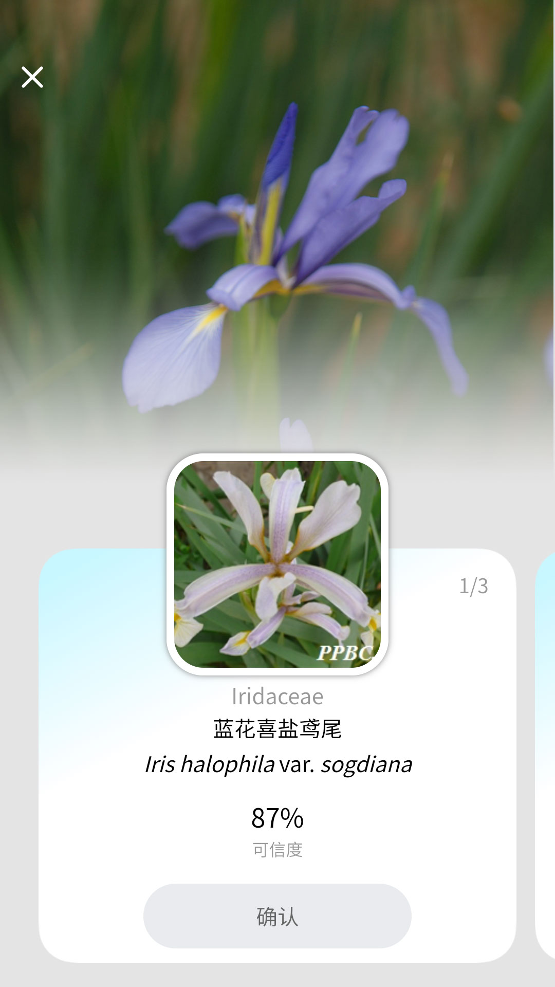 花伴侣Pro（植物智）APP系统安卓版v2.10.23-花伴侣Pro 智能识别中国植物截图3
