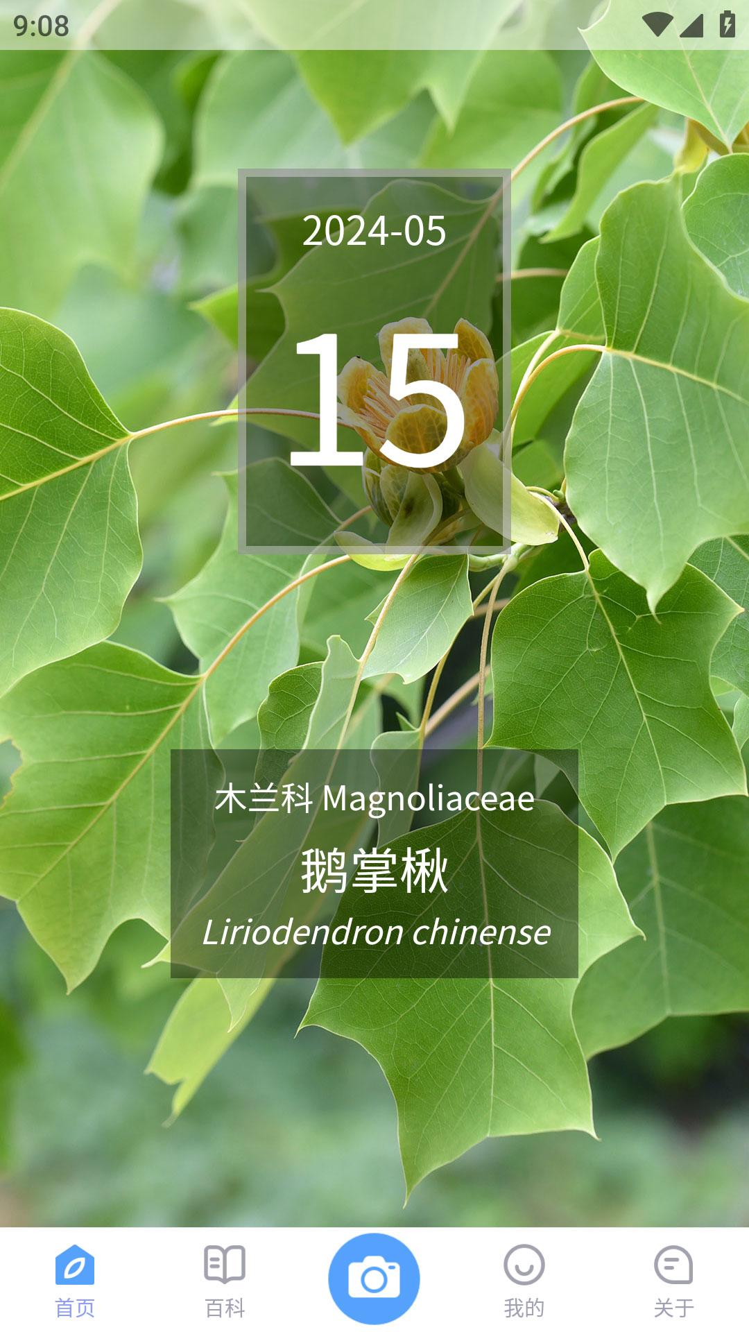 花伴侣Pro（植物智）APP系统安卓版v2.10.23-花伴侣Pro 智能识别中国植物截图1