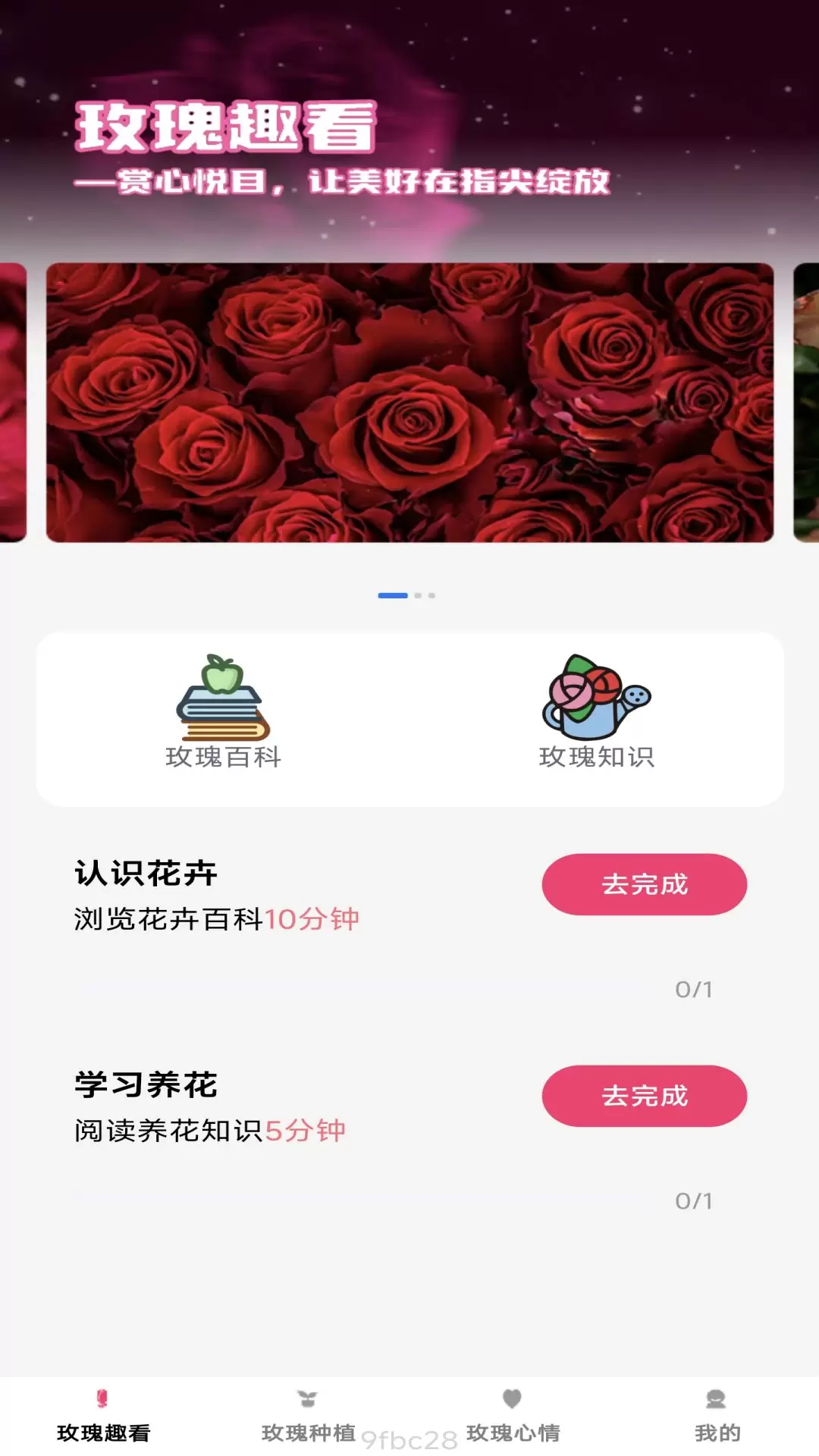 趣看玫瑰app