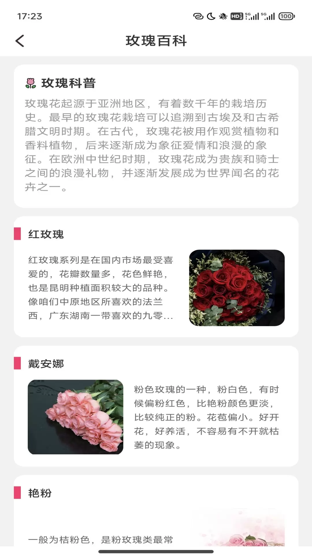 趣看玫瑰app