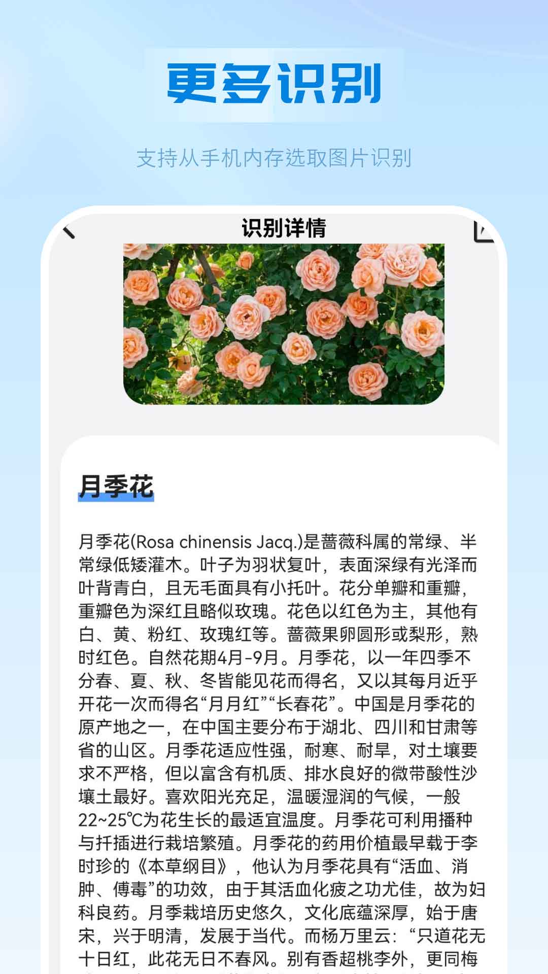 万能扫描识别王 点击查看大图