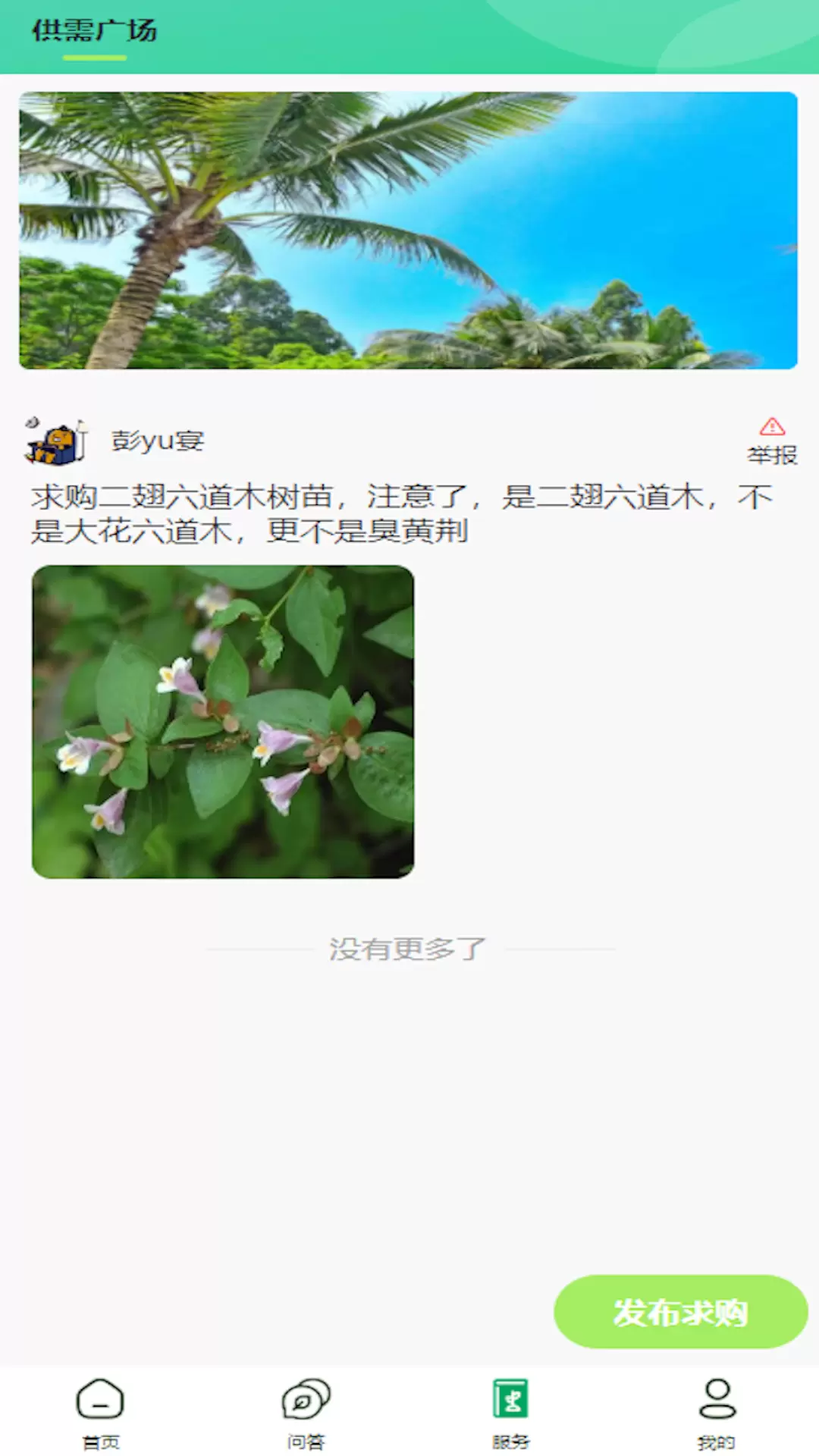 踏遍景观植物词典
