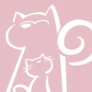 阿宝说 v1.1.76- 阿宝说 v1.1.76-